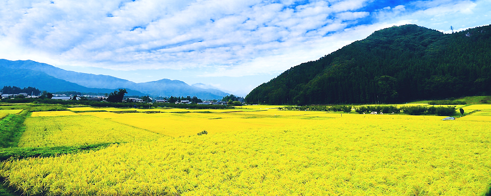 自然農家 和(むすび) トップ画像