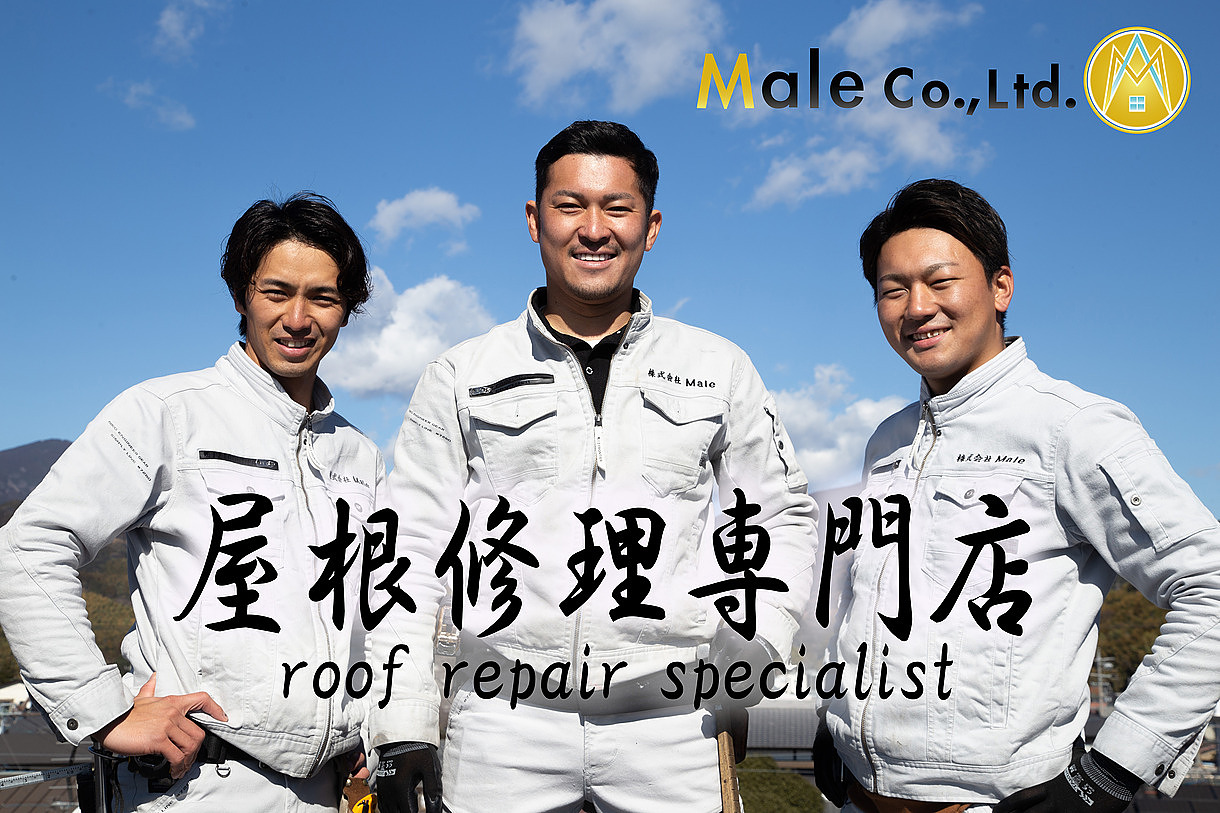 株式会社 Male